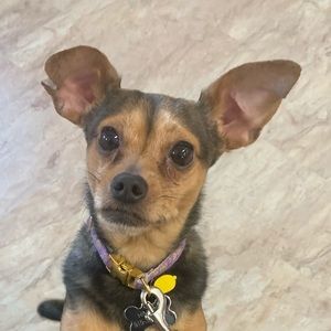 Meet your Posher, Sharon